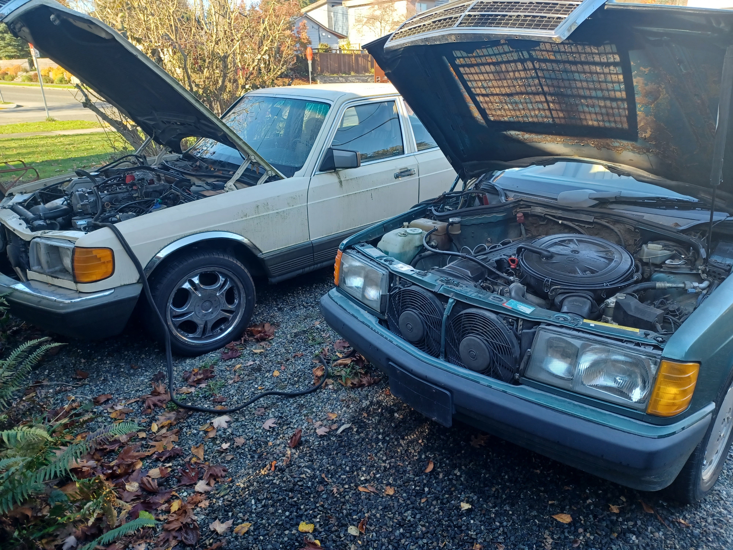 Mercedes needed a jump and alternator, auto repair in Bellevue, Washington